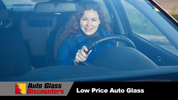 Low Price Auto Glass2 